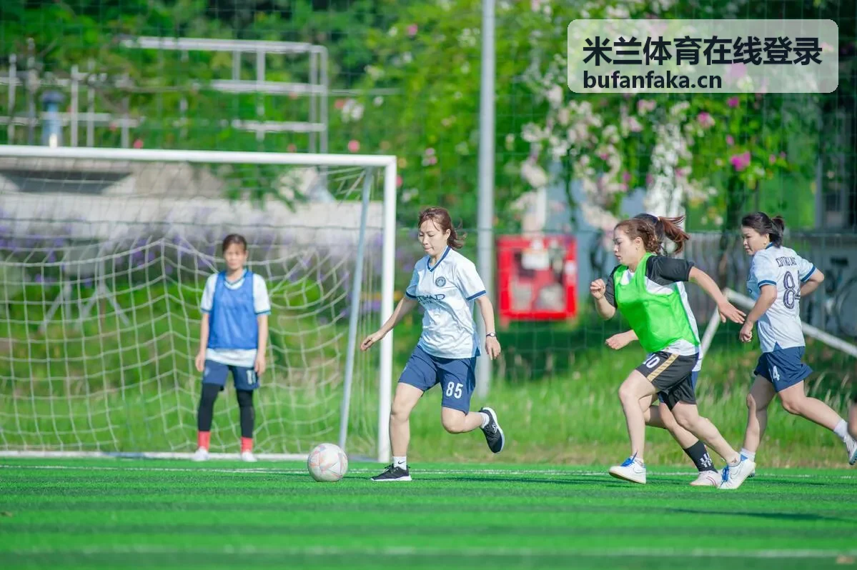米兰体育在线登录平台入口指南封面